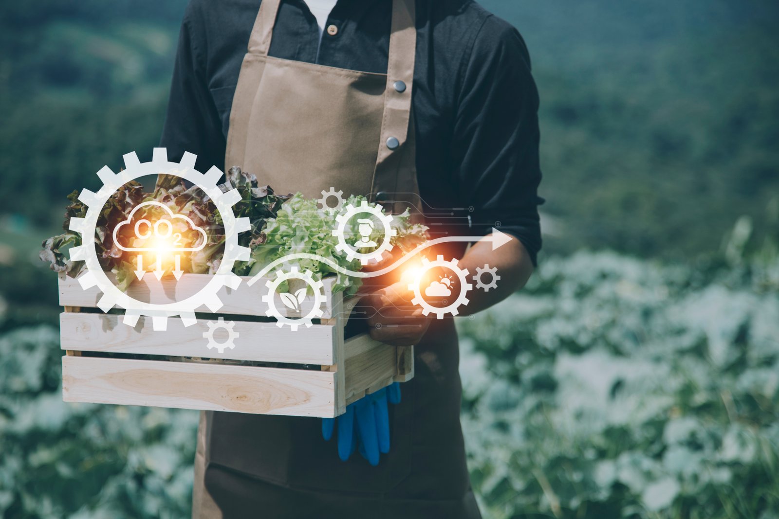 Sustainable Success Philosophy