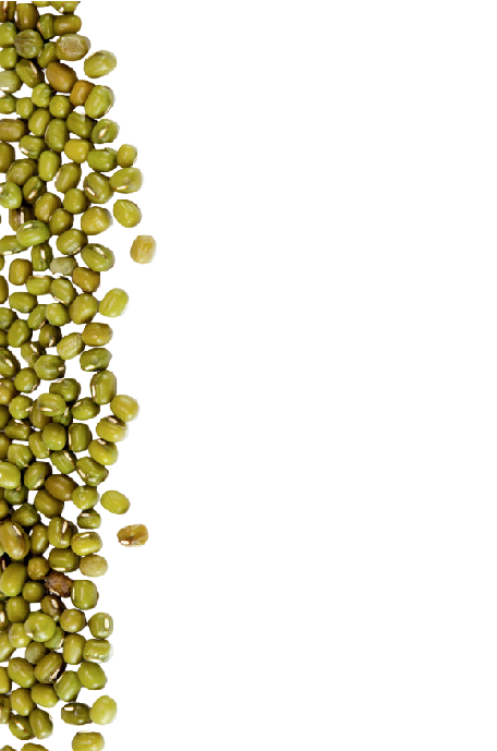 Excellence Background