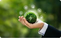 Sustainable Success Philosophy