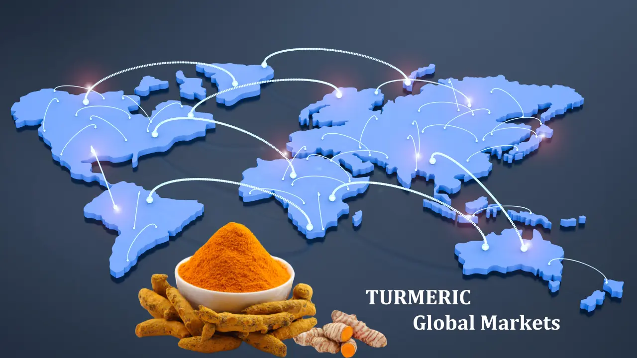 Global Turmeric Market Trends & Export Opportunities 2026