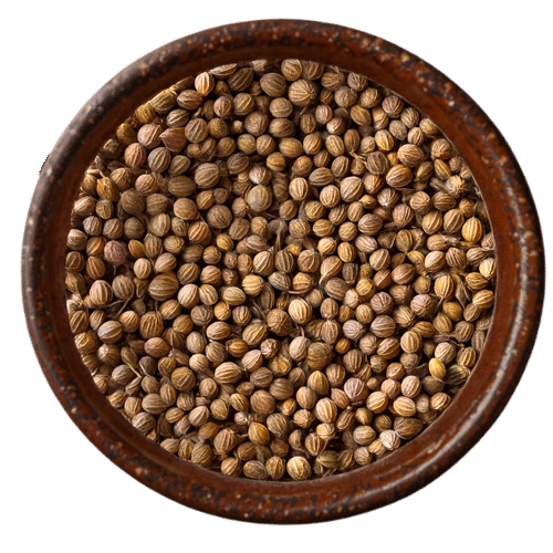 Vedafox Premium Coriander Seeds in Traditional Bowl - High-Quality Dhania with Sweet Citrus Flavor