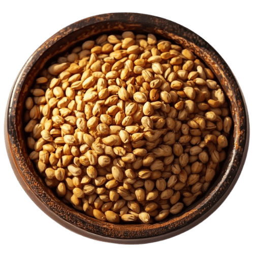  Premium hulled barley grains from Vedafox Group showcasing high protein content and superior quality for health food applications