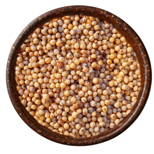Premium white and red sorghum grains from Vedafox Group showcasing versatility for food and industrial applications