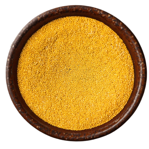 Premium foxtail millet grains from Vedafox Group representing ancient nutrition for modern health applications