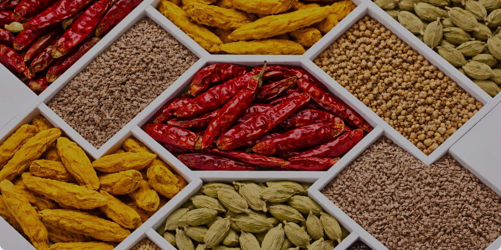 Vedafox Rhythmic Spices - Premium Organic Spice Collection Including Turmeric, Cumin, Coriander, Cardamom