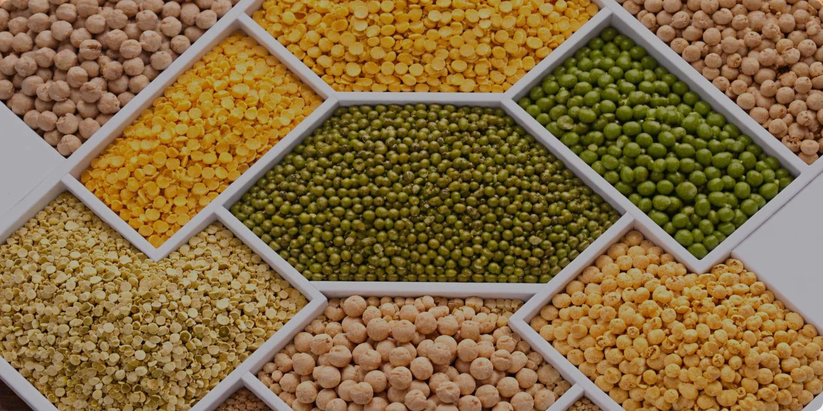 Vedafox Groovy Pulses - Organic Lentils, Chickpeas, Moong for Protein-Rich Balanced Diet
