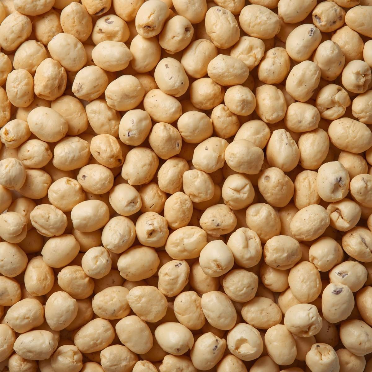Premium 4 Sutta Handpicked Makhana - Standard Commercial Grade