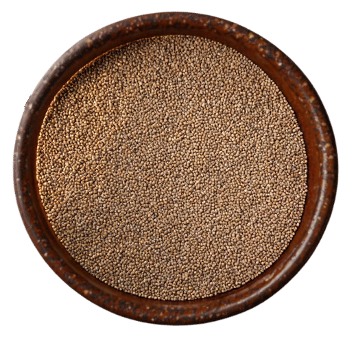 Complete collection of Vedafox Group's organic millet varieties  - Pearl Millet
