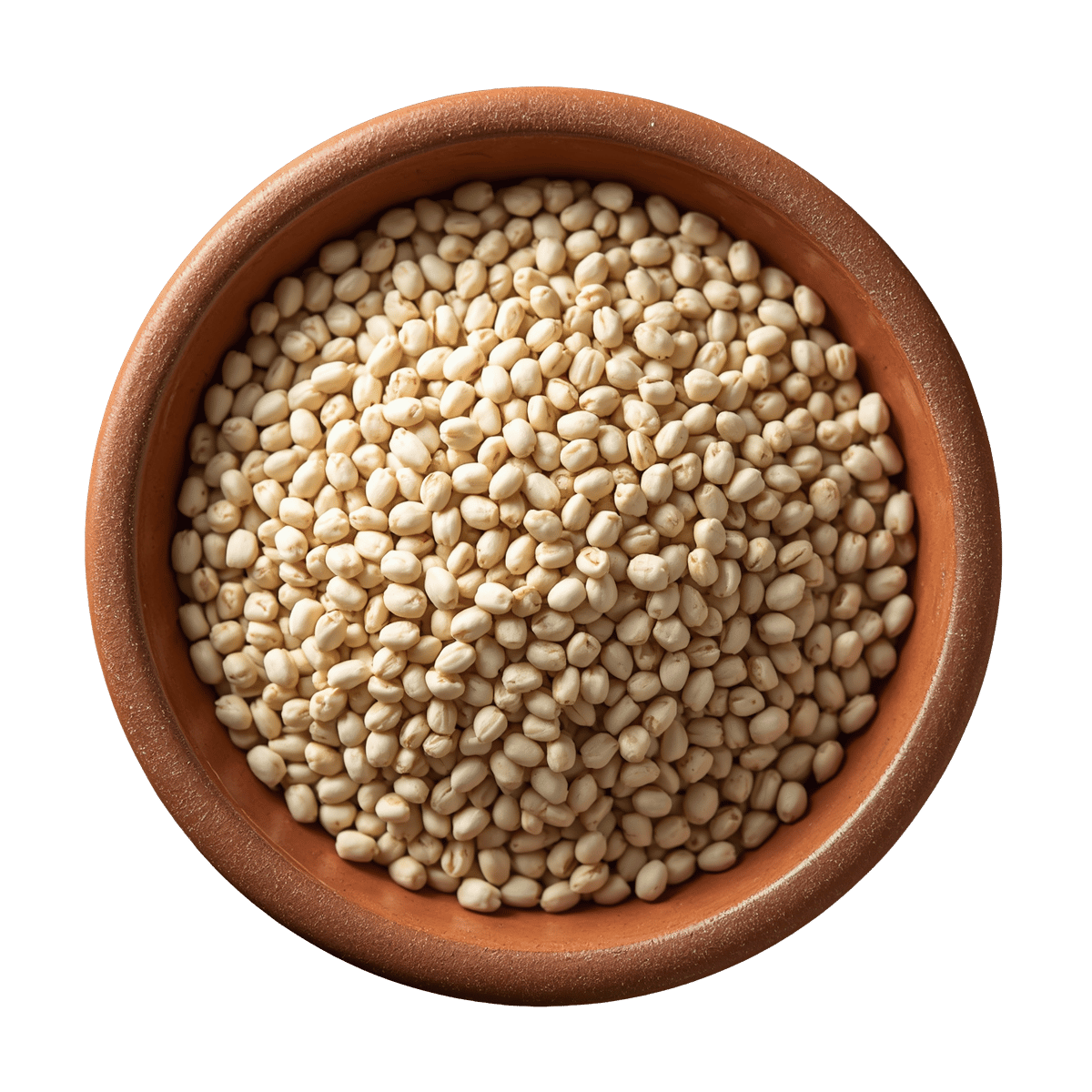 Complete collection of Vedafox Group's organic millet varieties  - Sorghum White
