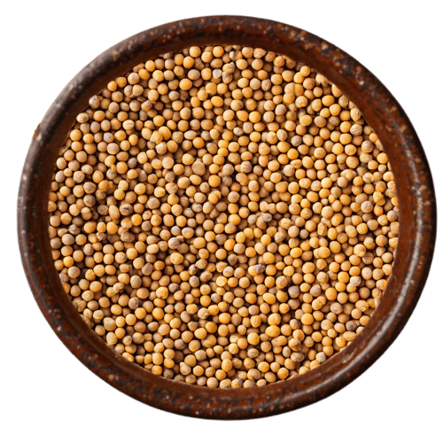 Vedafox Group's premium brown mustard seed varieties 