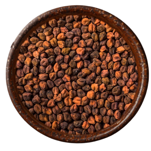  Vedafox Group's groovy desi chana showing characteristic dark brown color, small size and uniform quality traditional Bengal gram