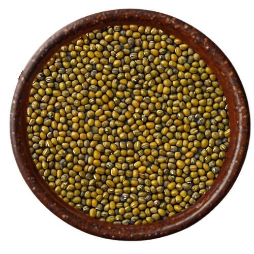 Complete moong pulses collection from Vedafox Group showing Moong Whole